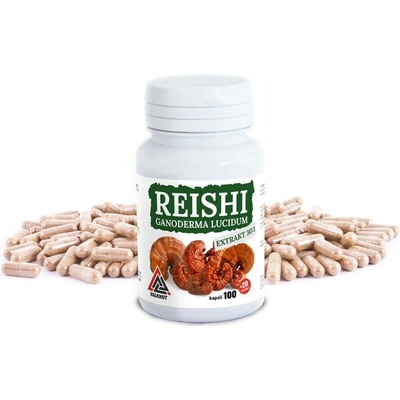 Valknut REISHI Ganoderma Lucidum extrakt 30:1VALKNUT 120 kapslí