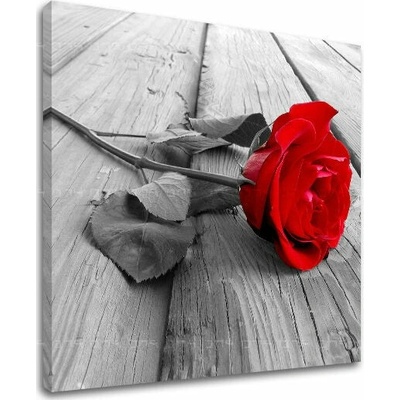 Obraz na stenu KVETY - 70x70