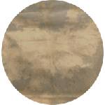 Terre Goatskin drumhead L 70 - 80 cm Кожа за перкусии (<![CDATA[38240699]]>)