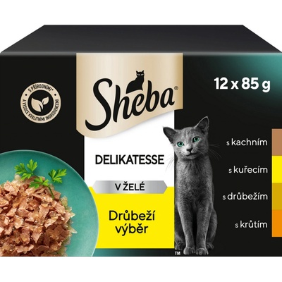 Sheba Delikatesse in Jelly kuře krůta kachna drůbeží 12 x 85 g