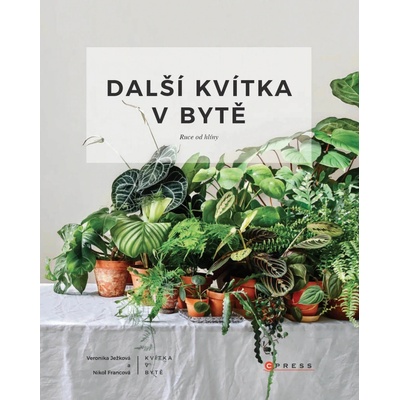 Další kvítka v bytě: Ruce od hlíny - Veronika Ježková, Nikol Francová