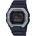Casio GBX-100