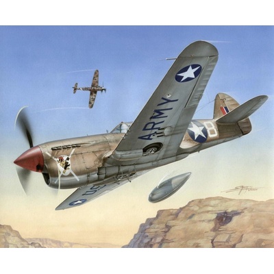 Special Hobby P-40 F Warhawk Short Tails over Africa 1:72