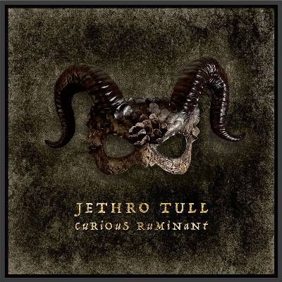 Sony Music Jethro Tull: Curious Ruminant (Special Edition) - CD (079930)