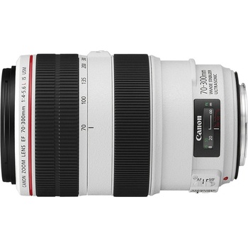 Canon 70-300mm f/4-5.6L IS USM