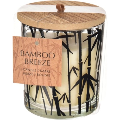 Indecor Ve skle s vůní bambus 9 x 9 x 10 cm