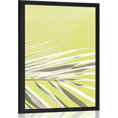Plakát palmový list - 60x90 no frame