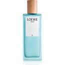 Loewe Agua De Loewe El toaletní voda pánská 50 ml