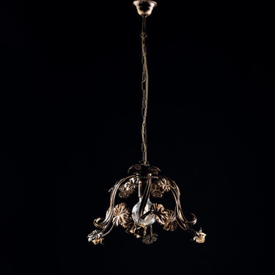 Light for home BL169-1-BR