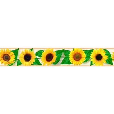 IMPOL TRADE B 83-08 Samolepiaca bordúra slnečnica, rozmer 5 m x 8,3 cm