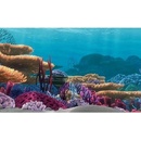 Penn Plax Nemo pozadie Hľadá sa Nemo 51 x 30,50 cm