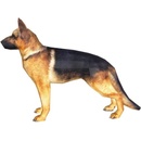 Image 1 of Немска овчарка 3Д Модел за сглобяване