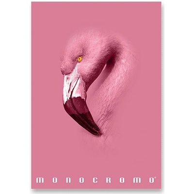 PIGNA Monocromo Pink A4 šitý linajkový