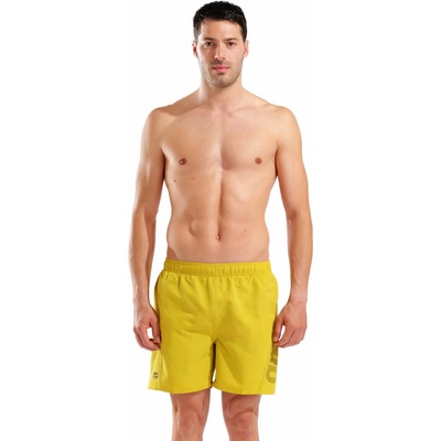 Arena Fundamentals Arena Logo Boxer R