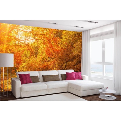 DIMEX ART Самозалепваща се флизелинова фототапета есенни кленови дървета 375 x 250 см