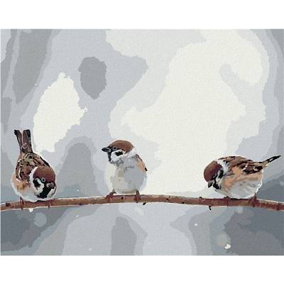 zuty Malování Podle Čísel Malí Ptáčci Na Větvi 40 x 50 Cm Plátno Rám