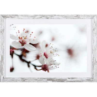 Bondecor Obraz v modernom ráme Flora 37 x 53 cm