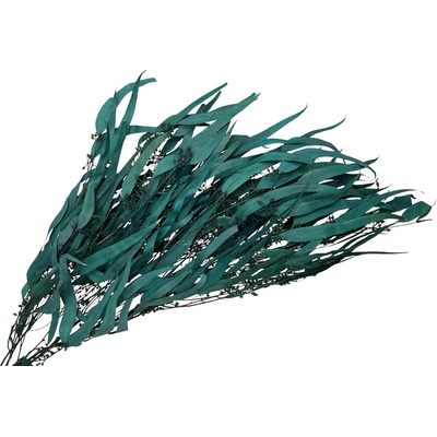 Sušené eukalyptové listy Willow 100g s plodmi - tmavozelené