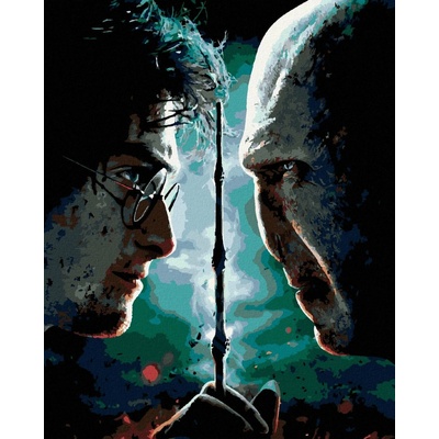 Zuty Malování Podle Čísel Harry Potter Tváří V Tvář Voldemortovi 40 x 50 cm Plátno
