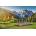 Castorland - Puzzle Summer in the Alps - 500 piese