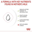 Image 1 of Royal Canin BabyCat Milk 300 g