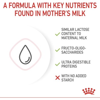 Image 1 of Royal Canin BabyCat Milk 300 g