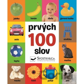 Prvých 100 slov