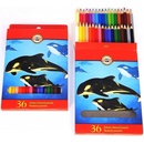 Koh-i-Noor 3555 36 ks