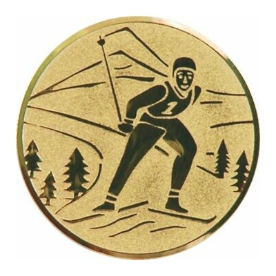 D1-A94/G Emblém pr.25mm beh na lyžiach zlato