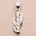 Nefertitis NF12419