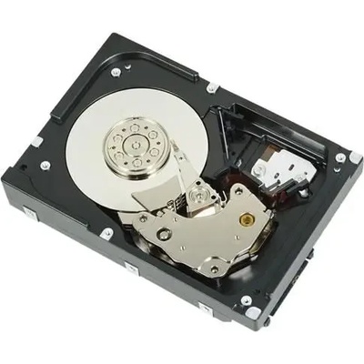 Dell 2TB 67TMT