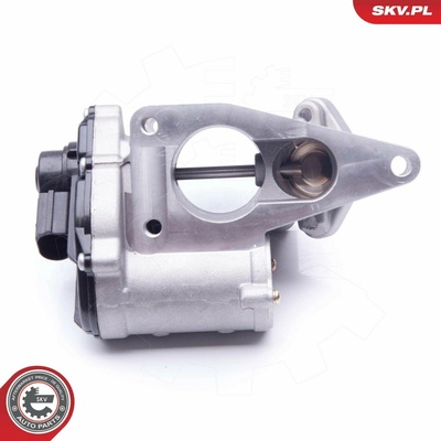 AGR - Ventil ESEN SKV 14SKV168