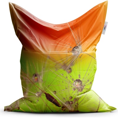 Sablio Sedací vak Odkvetnuté púpavy 200x140 cm