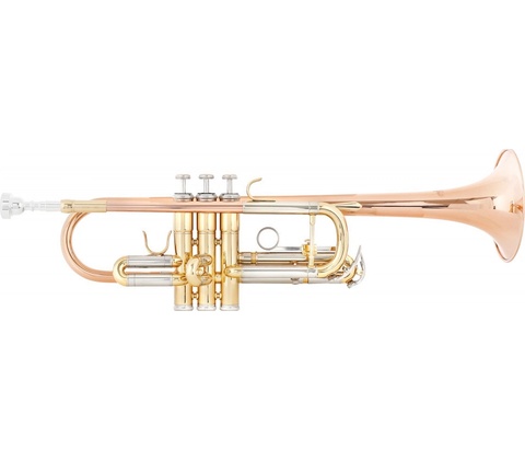 Lechgold CTR-18L C