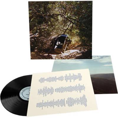 Ty Segall - Possession (LP) (0781484091516)