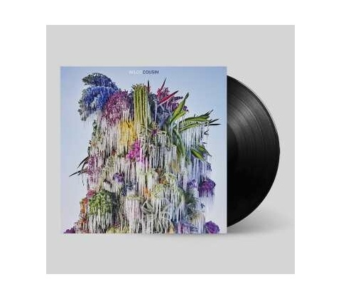 Wilco: Cousin: Vinyl CD