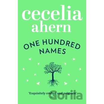One Hundred Names - Cecelia Ahern