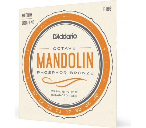 D'Addario EJ80