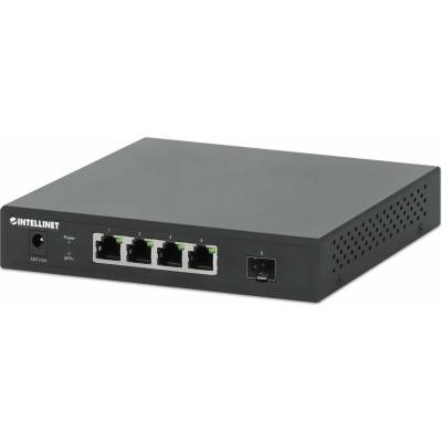 Intellinet 562058