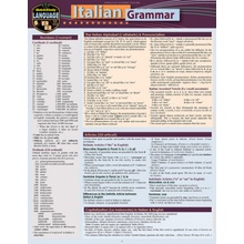 Italian Grammar: A Quickstudy Laminated Language Reference Guide Delvino Sally-AnnOther