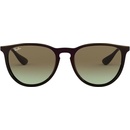 Ray-Ban RB4171 6316E8