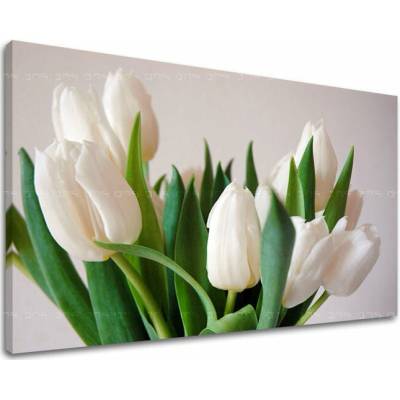 Obraz na stenu KVETY TULIPÁNY - 20x30
