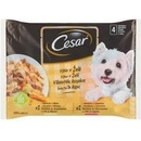 Cesar s kuracím a mrkvou & s hovädzím a zeleninou v želé 4 x 100 g