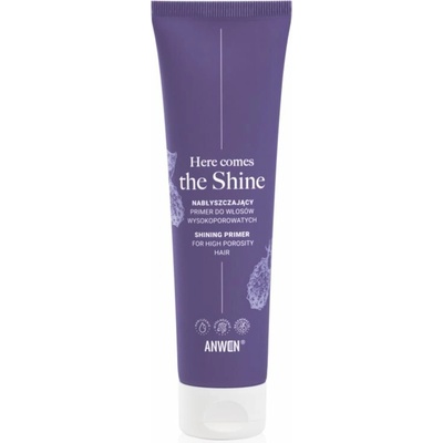 Anwen Here Comes The Shine Shining Primer For High Porosity Hair podkladová báza na vlasy 100 ml