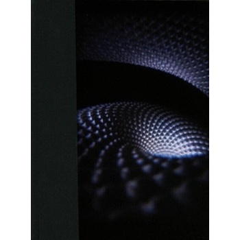 Tool - Fear Inoculum CD