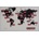 NeXtime World Time Digital 2897