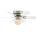 Globo 0307W