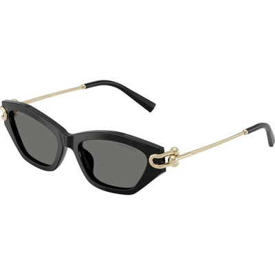 Tiffany & Co. TF4231U 800181