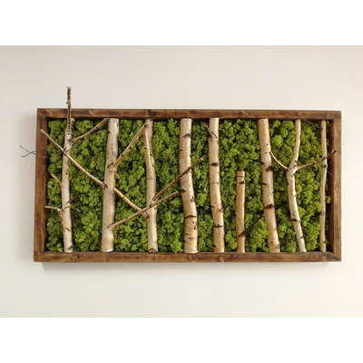 Machovo-brezový obraz 65cm x 130cm