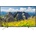Sony KD-55XF7596